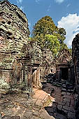 Preah Khan - northern satellite temple dedicated to Shiva